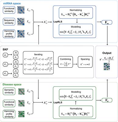 MDA-SKF: Similarity Kernel Fusion for Accurately Discovering miRNA-Disease Association